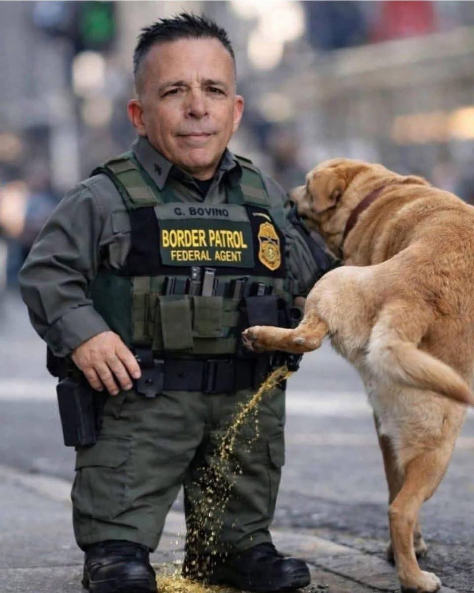 Jeffy Covfefe’ (@docziggy) on Twitter photo 