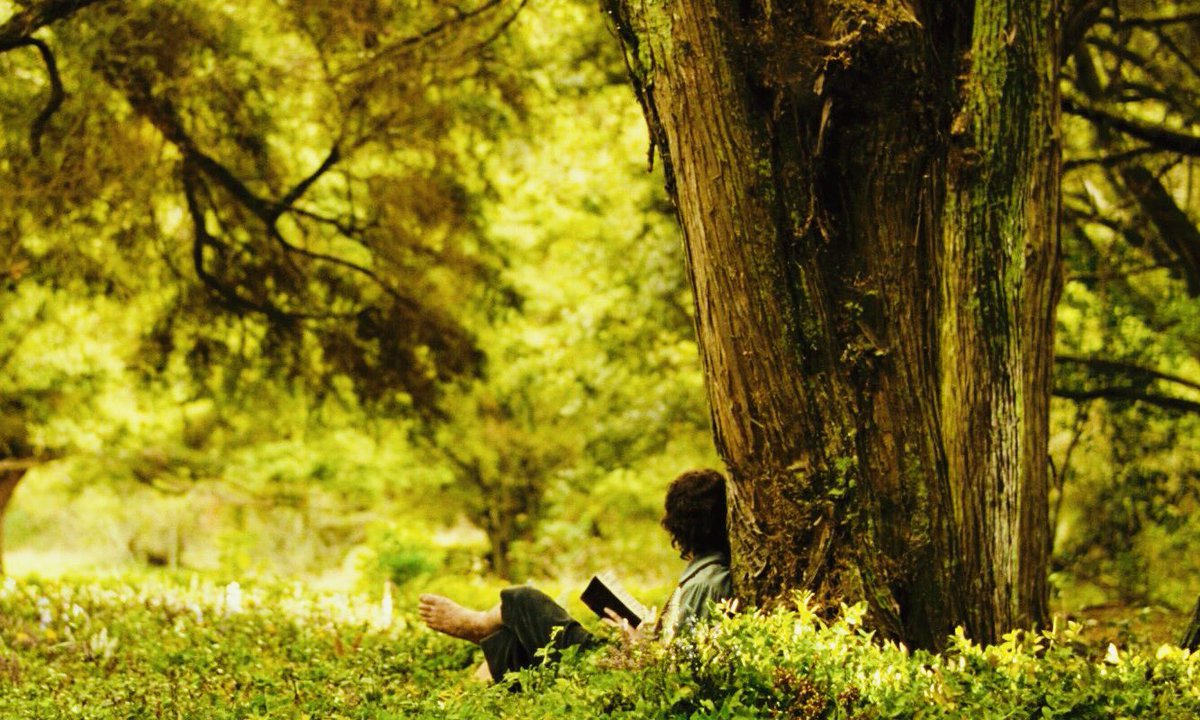 the lord of the rings: the fellowship of the ring (2001) dir. peter jackson