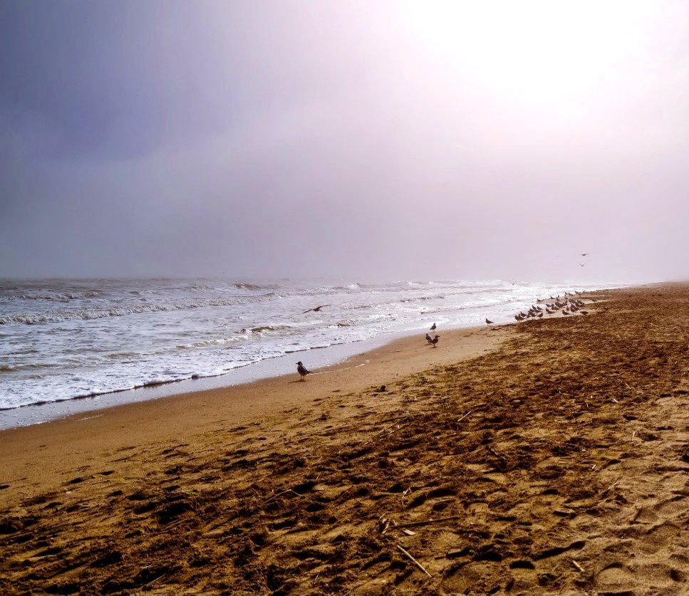 Катерина Галич tweet media