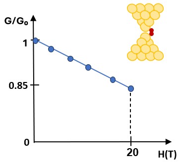 Happy to share our new paper in <a href="/PhysRevResearch/">Physical Review Research</a>, doi.org/10.1103/cmh2-f…, where we find magnetic responses of gold and silver atomic size contacts in magnetic fields about half a million times the earth magnetic field.<a href="/UCCUAM/">UCCUAM</a>, <a href="/ifimacuam/">IFIMAC - Condensed Matter Physics Center</a>