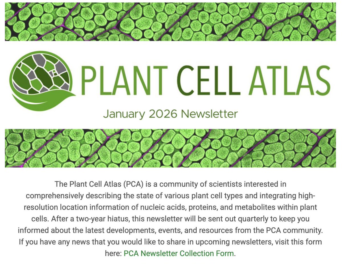 PlantCellAtlas.bsky.social tweet media