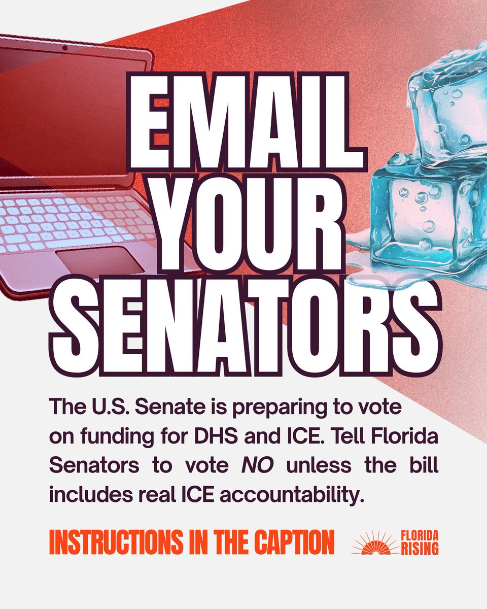 Florida Rising (Text JOINUS to 58123) tweet media