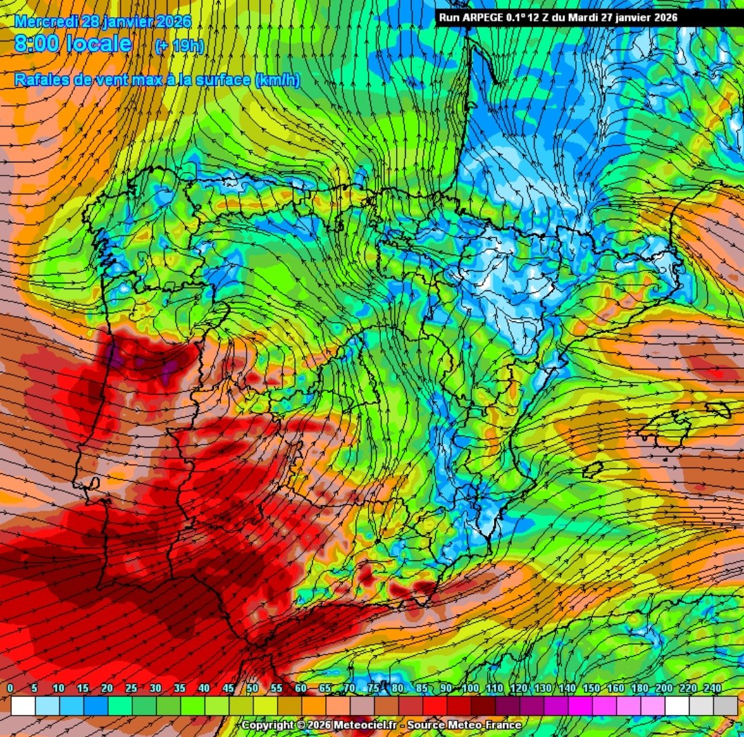 Árboles cargados de agua que debilitan la estructura, algunos con malas podas, fuertes rachas de viento y precipitaciones a la hora de entrada en los colegios.

Una combinación perfecta para que ocurra algo...

Espero que no.