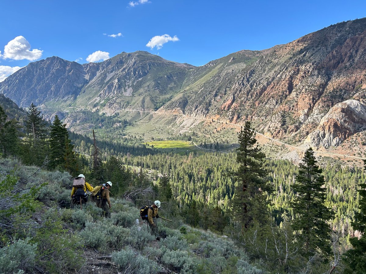 Bureau of Land Management Fire (Archived) tweet media