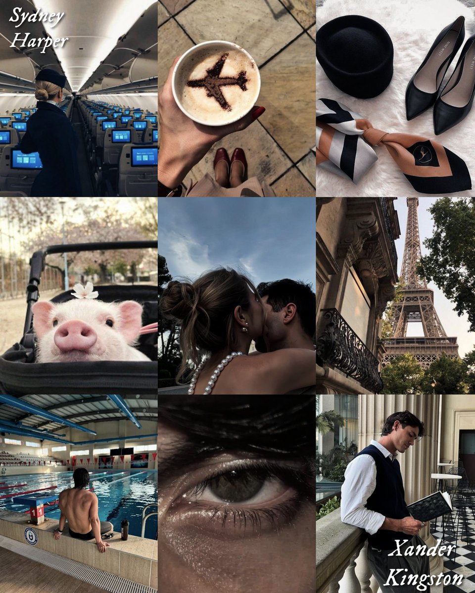 ¿Un libro con matrimonio arreglado dónde la mascota del protagonista masculino es un cerdito? 

Nos leemos este domingo ✈️👩‍❤️‍💋‍👨