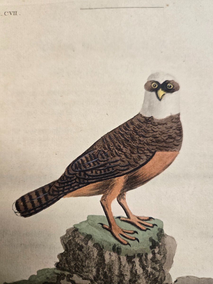 Sutro Library tweet media