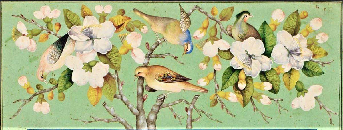 Âli Emiri Efendi, sevdiği insanı tarif ederken;
"Gül yaprağıdır, nüsha-i Kur'an arasında." dermiş.