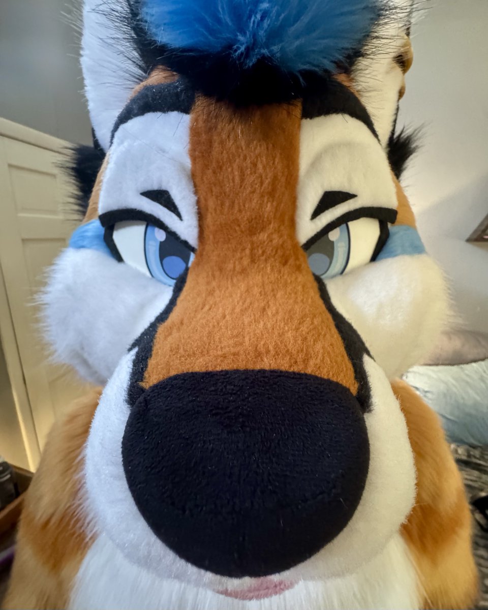 Ari 🦊 🔜 FWA/AC tweet media