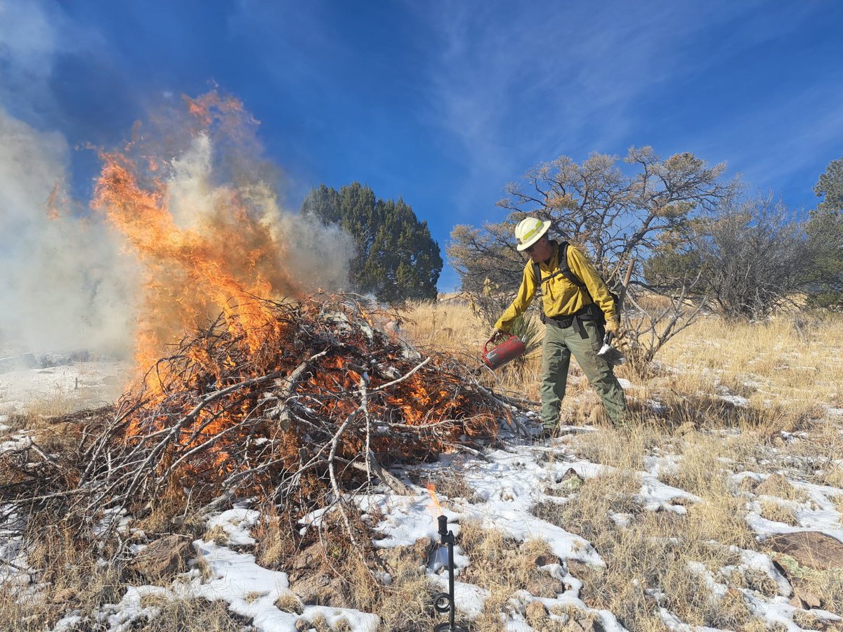 Cibola NF&Grasslands tweet media