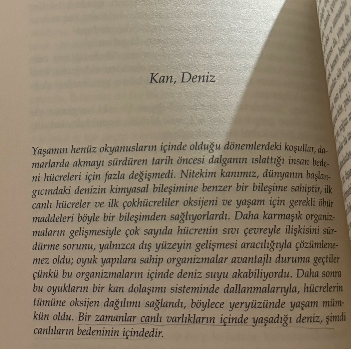 Daha önce okuduğum kitapları karıştırmaya başladım. Bu bölümü okuduğumda çok etkilendiğimi anımsıyorum. Denizi, onun mikro ekosistemini hala içimizde taşıyor olma düşüncesi çok özel.