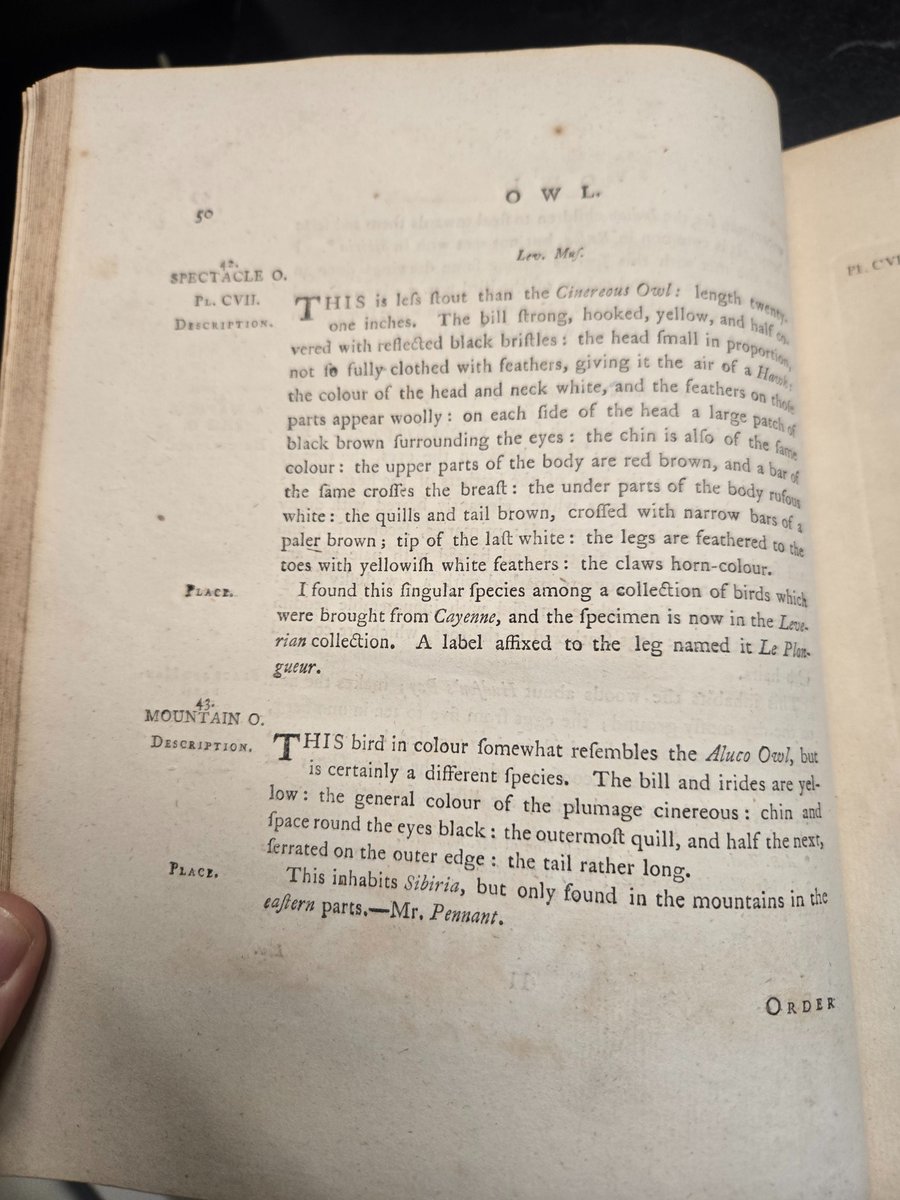 Sutro Library tweet media