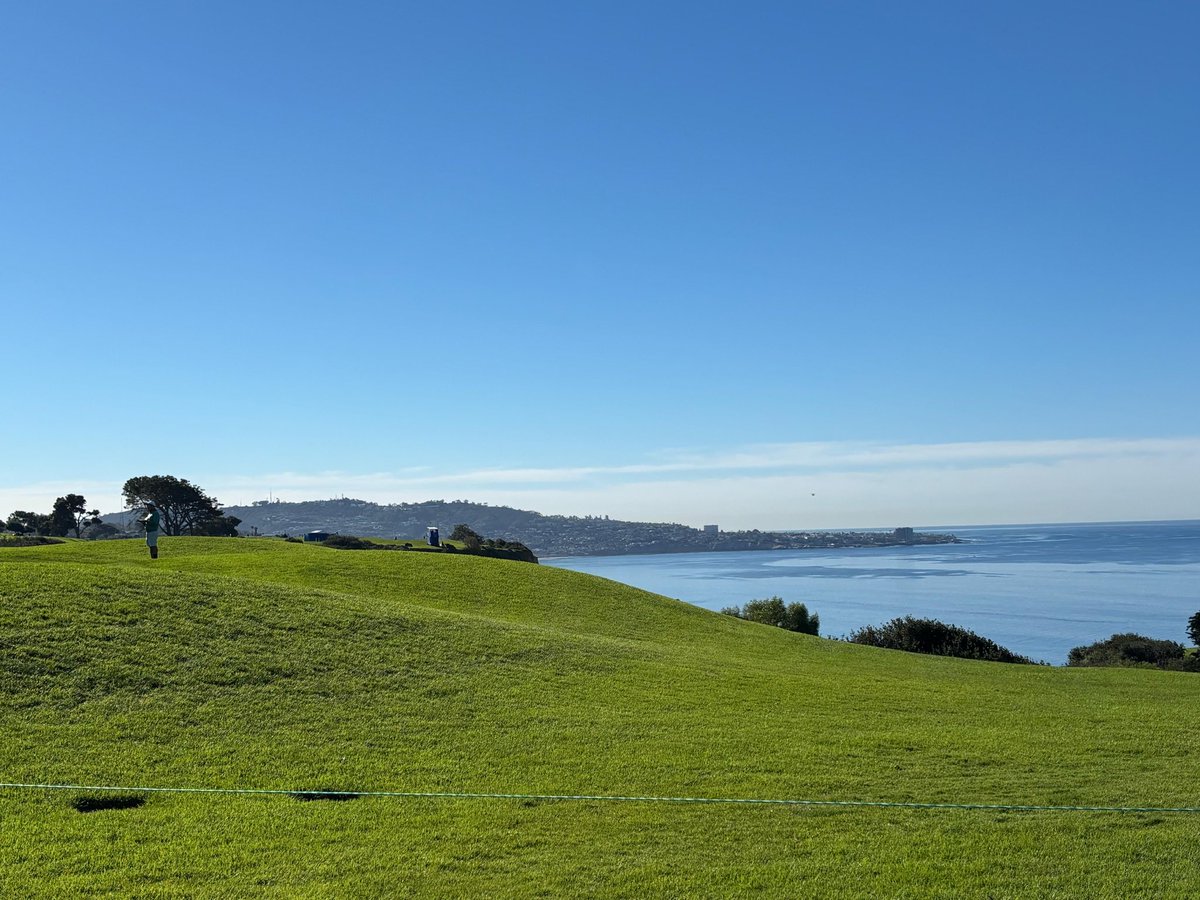 Women in Turf Team tweet media
