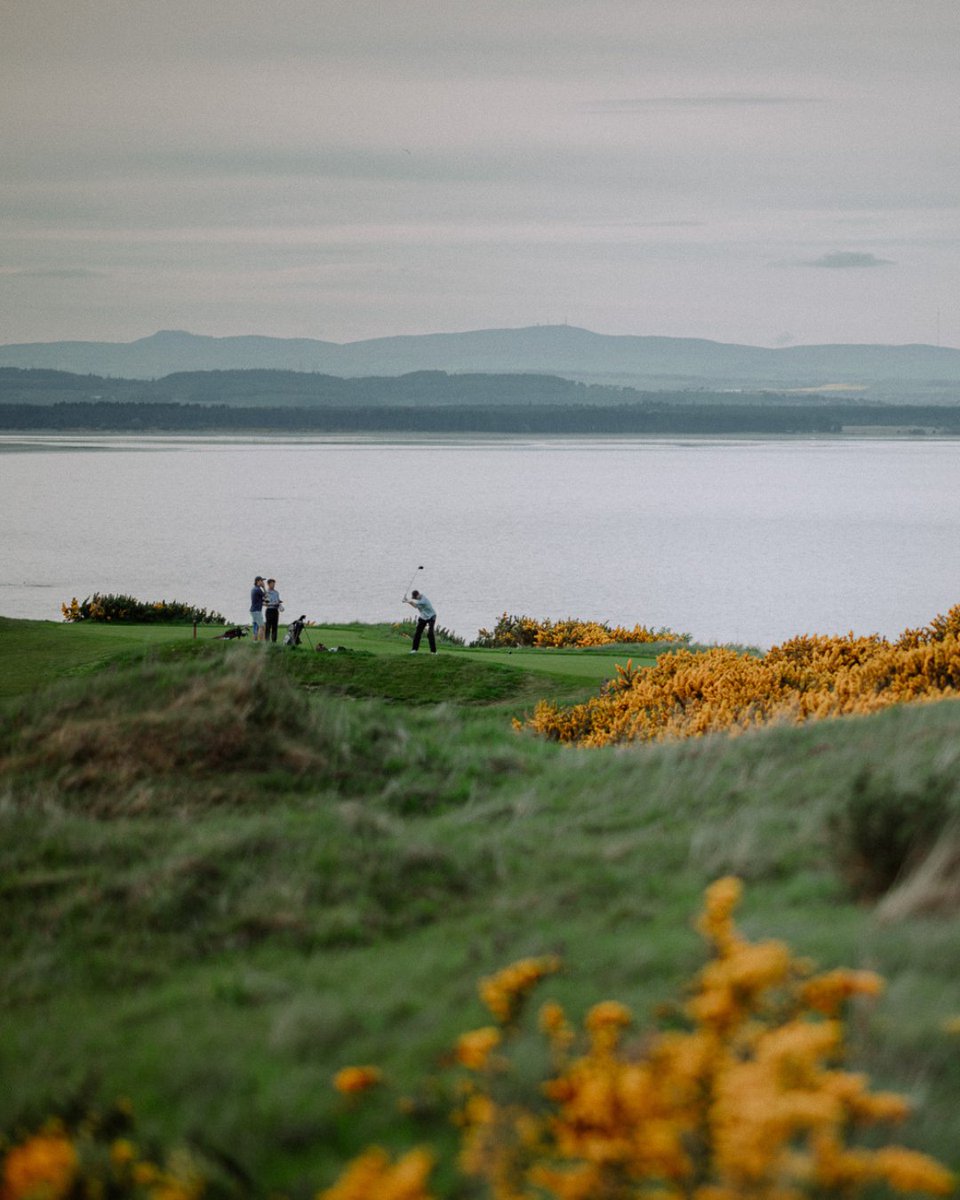 TheHomeofGolf's tweet image. A scenic reminder not to go left.

📍Castle Course

#TheHomeOfGolf #StAndrews