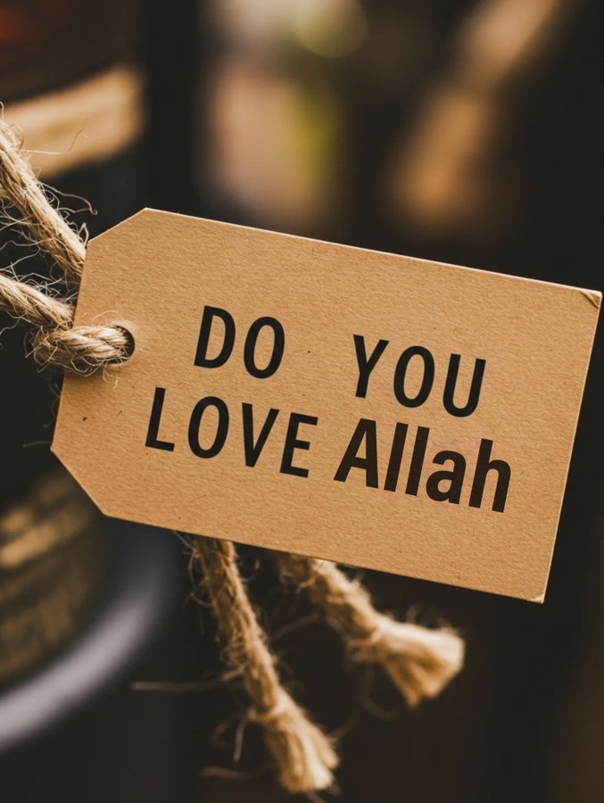 AllahGreatQuran's tweet image. 📌