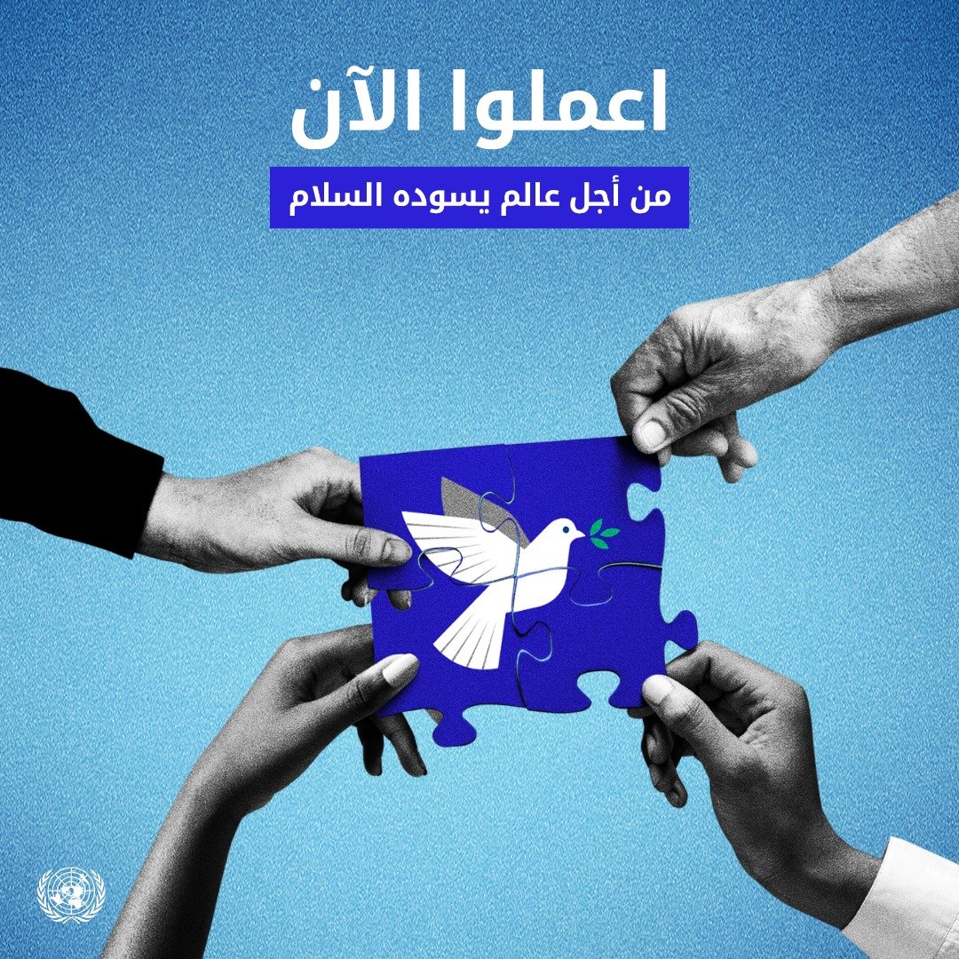 الأمم المتحدة tweet media