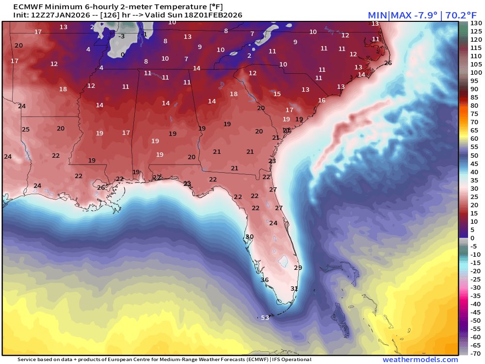 Dylan Federico tweet media
