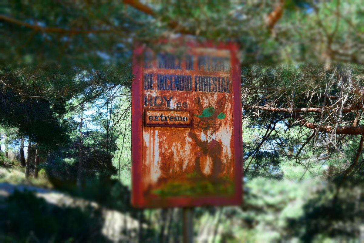 IDForestal tweet media