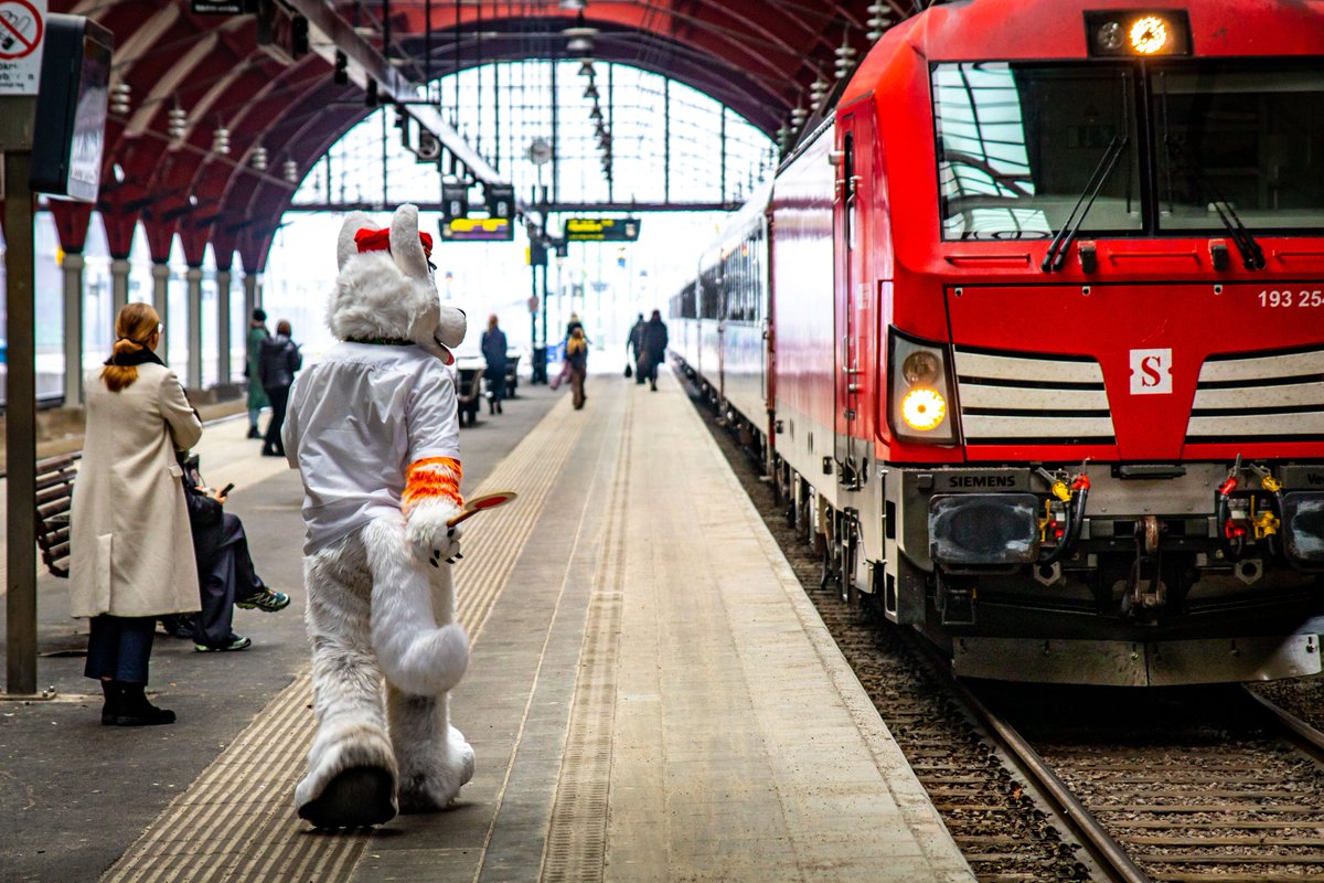 B_railway_dog's tweet image. Been getting some hate, because you know, it is completely normal to hate on someone having fun wearing a dog costume, not harming nobody else. But wearing a dog costume, not harming nobody else, IS ABSOLITELY BAD, TERRIBLE, DISGUSTING! Hating someone just because someone does…