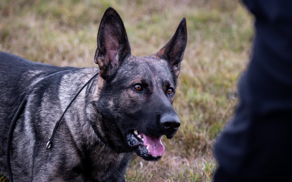 Merseyside Police tweet media