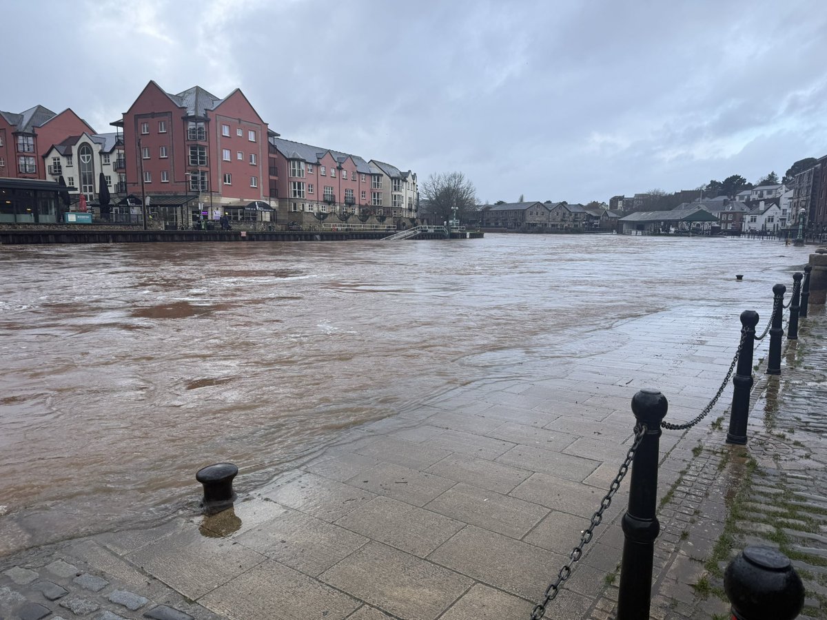 Jacky Tarleton 🇺🇦🦋 tweet media