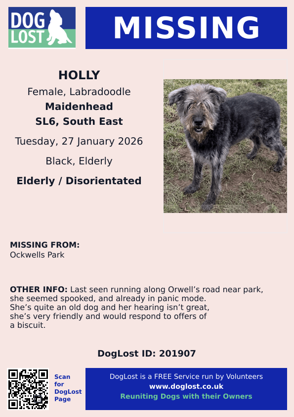 millypod1's tweet photo. 🆘27 Jan 2026 #Lost Holly #ScanMe
ELDERLY Labradoodle Female
Ockwells Park #Maidenhead #Berkshire #SL6 #Berks
https://t.co/XbuRa60ri6 https://t.co/iw74uzm6fP
