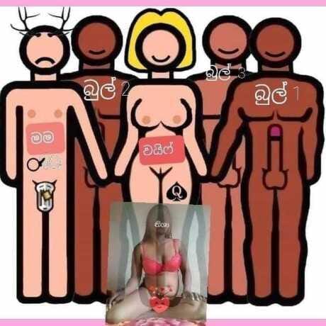 sl cuckold tweet media