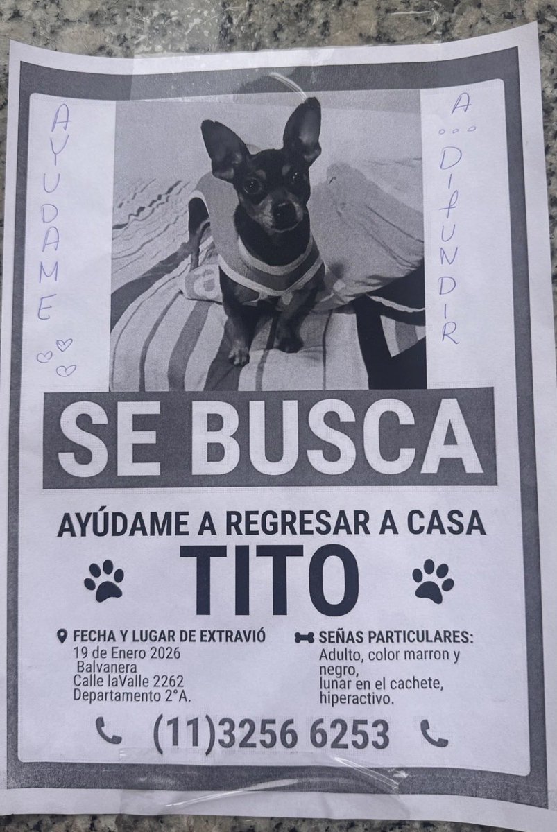 Patop's tweet image. Se busca a este mini vecino del barrio