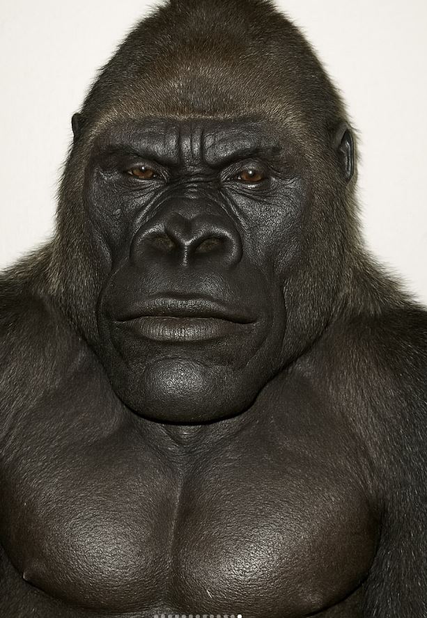 Nth Tinder tweet media