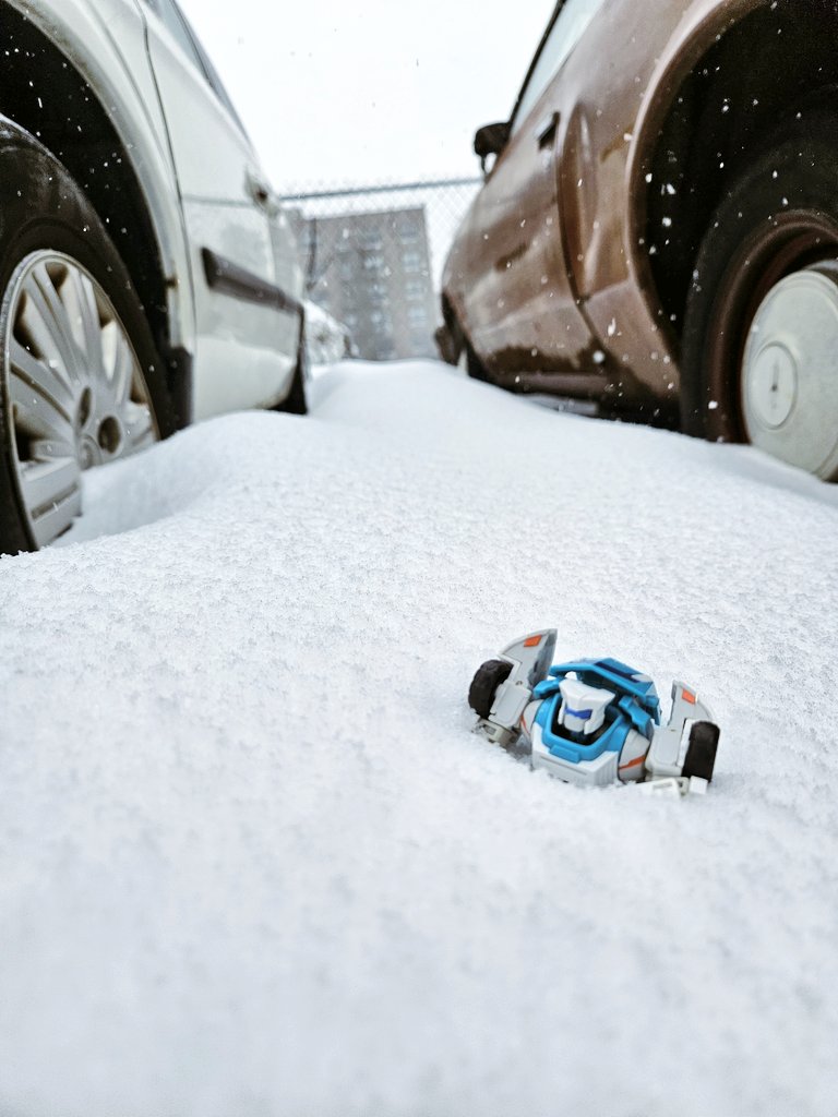 not ran 🐁 tweet media