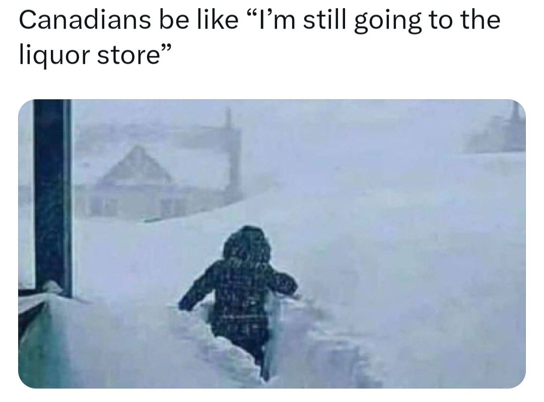 Grey Cup Fun Police 🇨🇦 tweet media