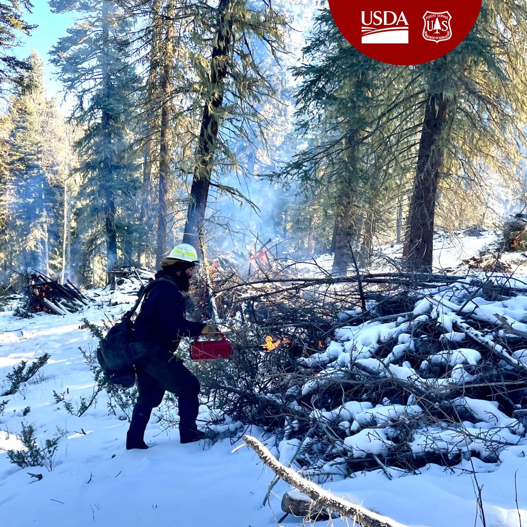 Santa Fe National Forest tweet media