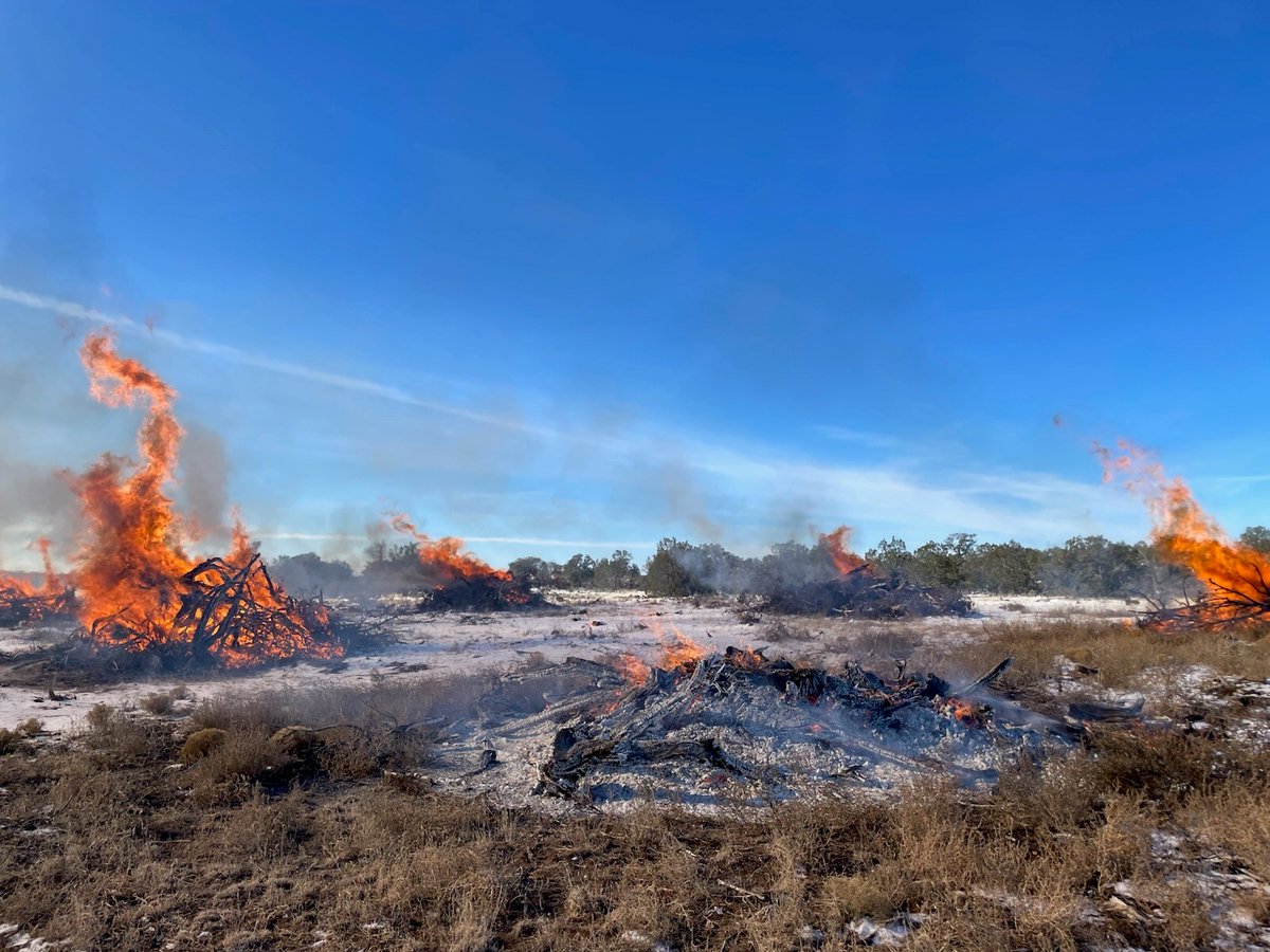 Cibola NF&Grasslands tweet media