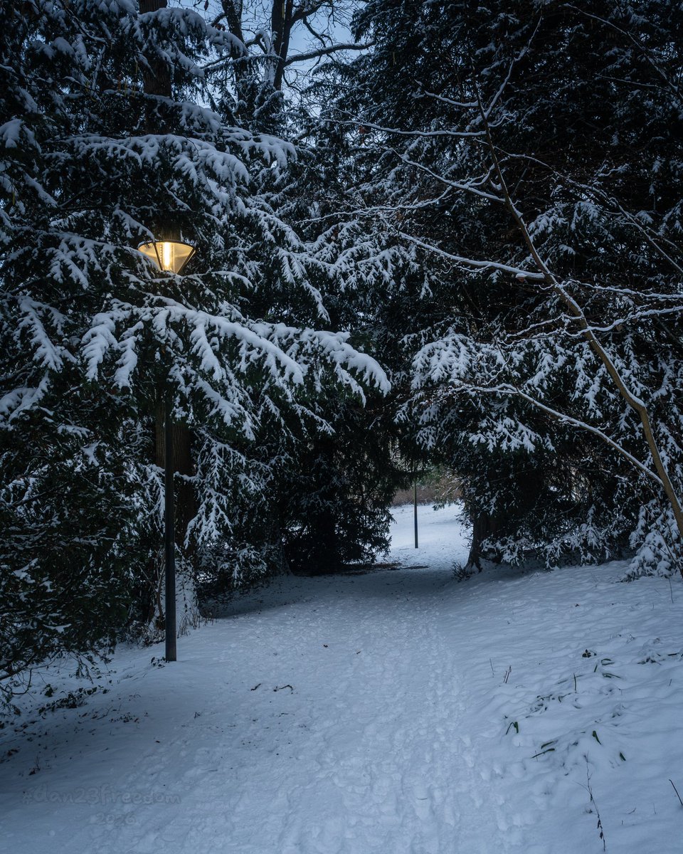 Dan 23 Freedom tweet media