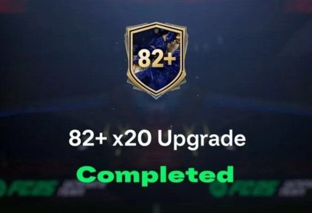 Zinhja - FC Trader tweet media