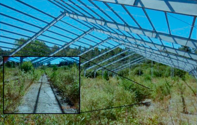 Tercer Tribunal Ambiental de Chile⚖ tweet media