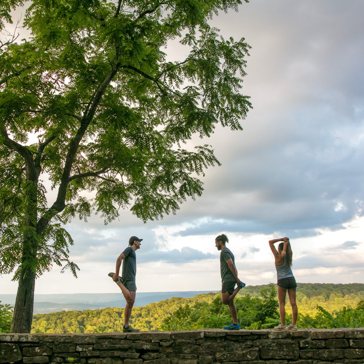 Sweet Home Alabama tweet media