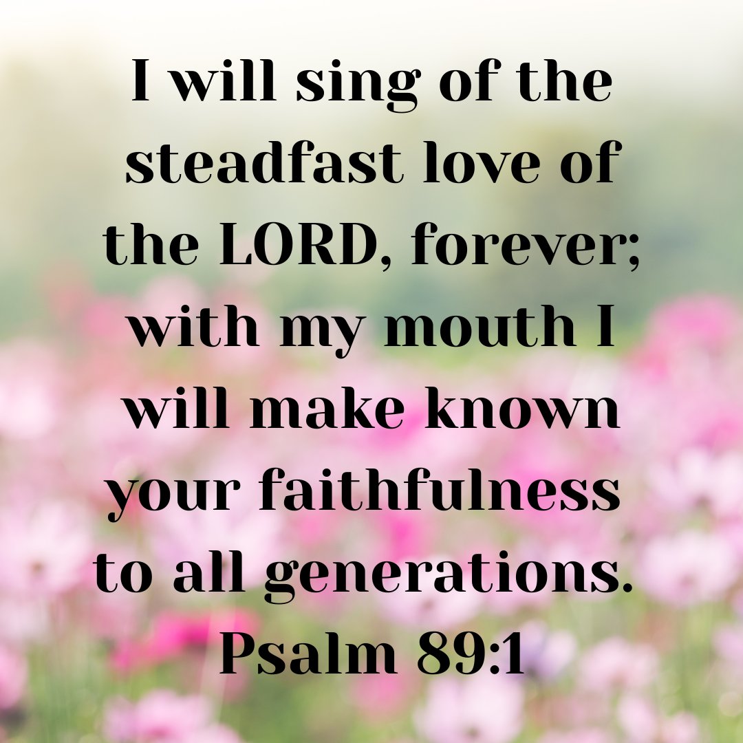 FBCMustang tweet media