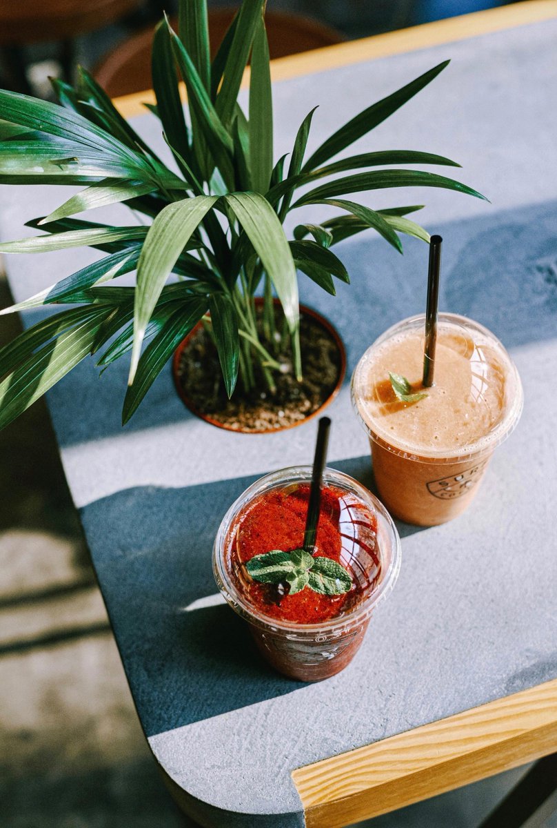 Adventure Traveler tweet media