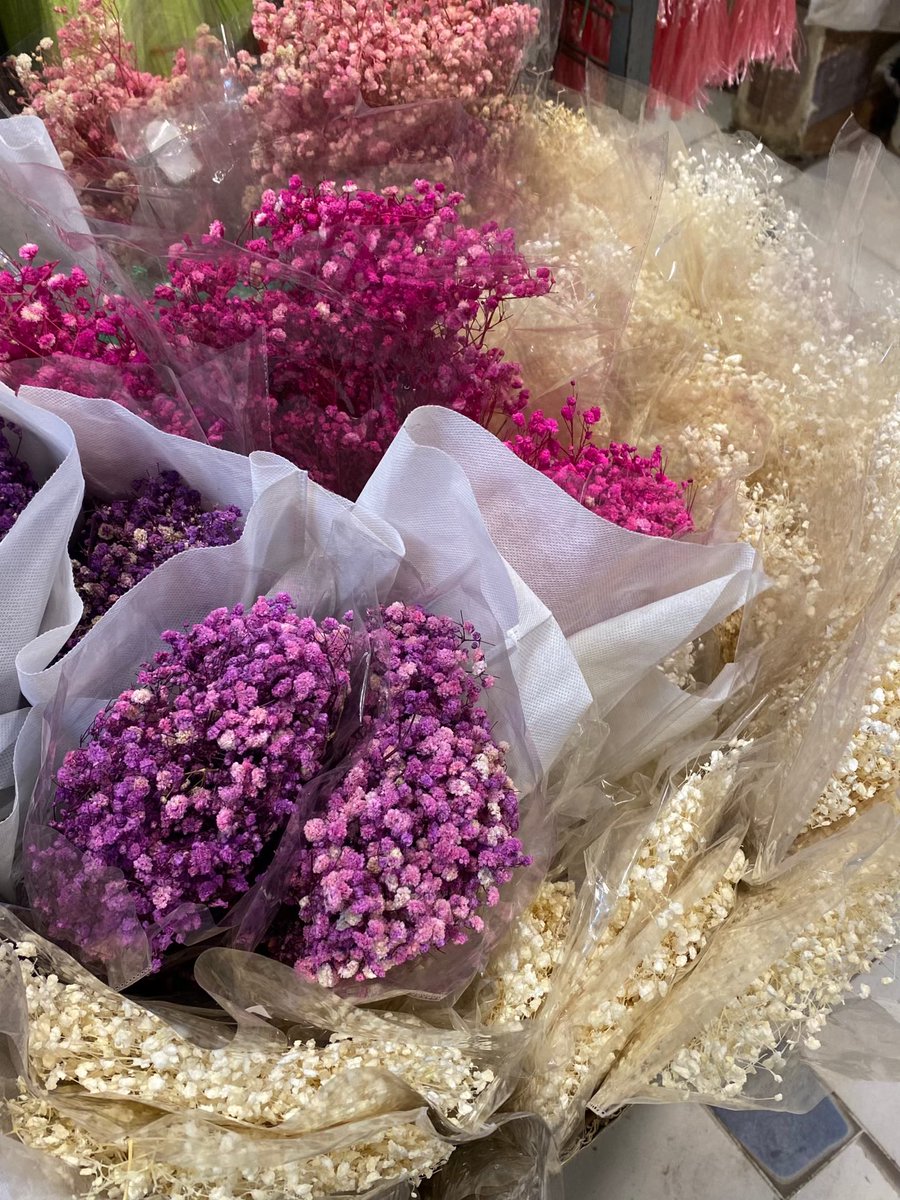 bebobos9's tweet image. مؤخرًا