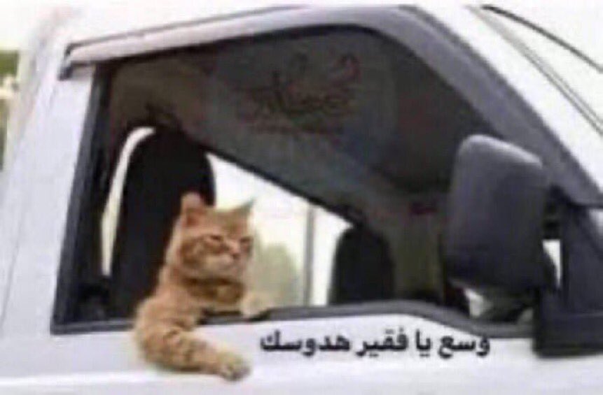 عياش الزاوي | مصمم جرافيك tweet media