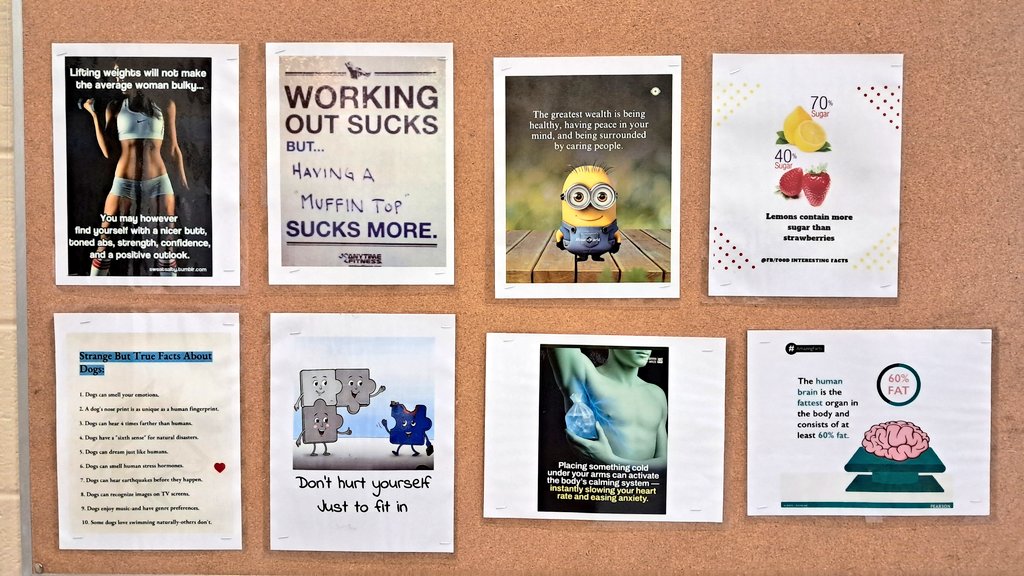 CoachLoRo's tweet photo. Girls locker room bulletin: week 22 @NISDStinson @StinsonPTA #skyhawkpride #perocks https://t.co/AgpmbnLDkR