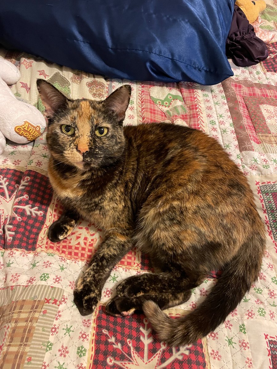 Diana Wangly tweet media