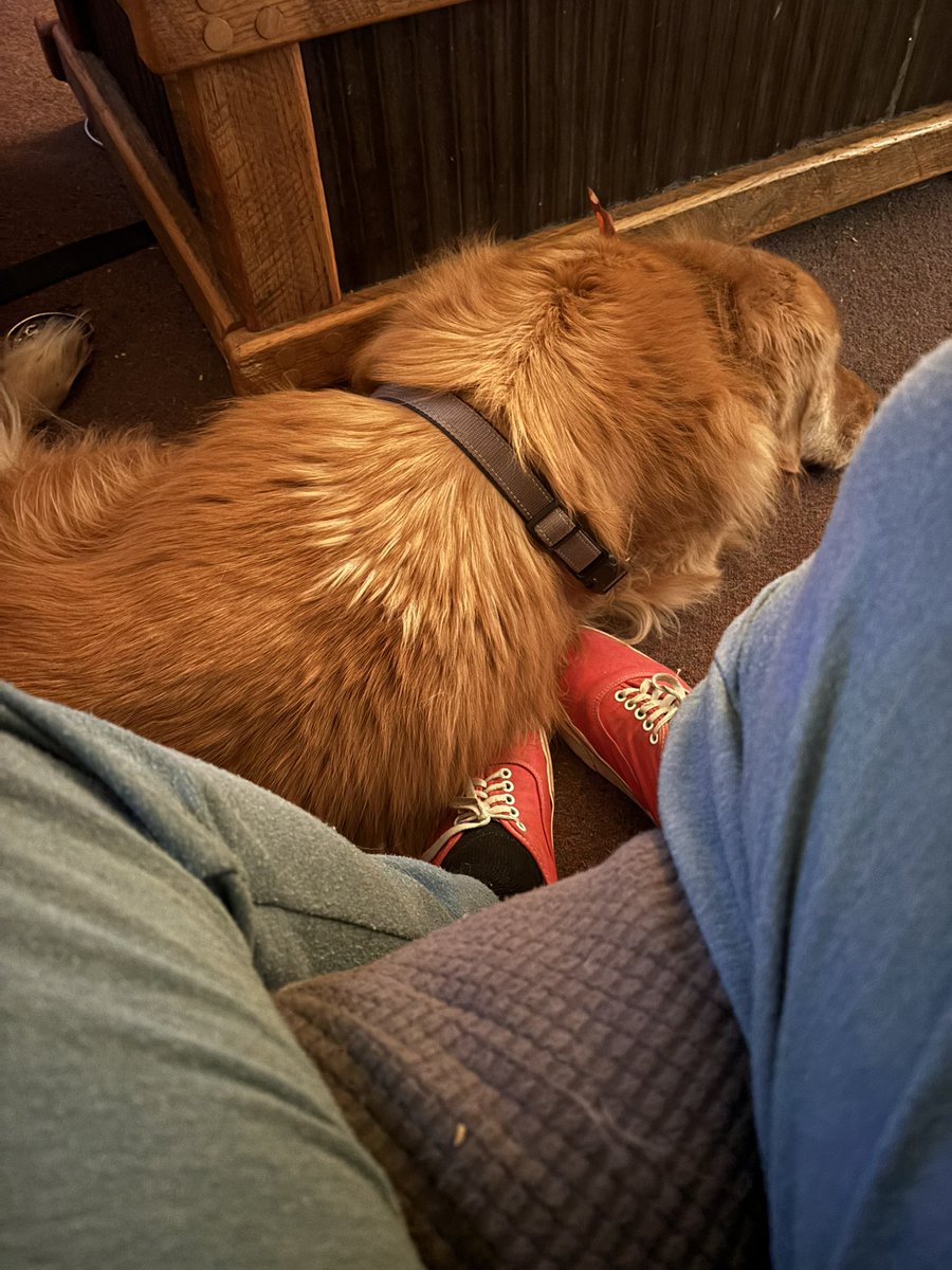 Patrick, Mayor of Wyrdwode tweet media