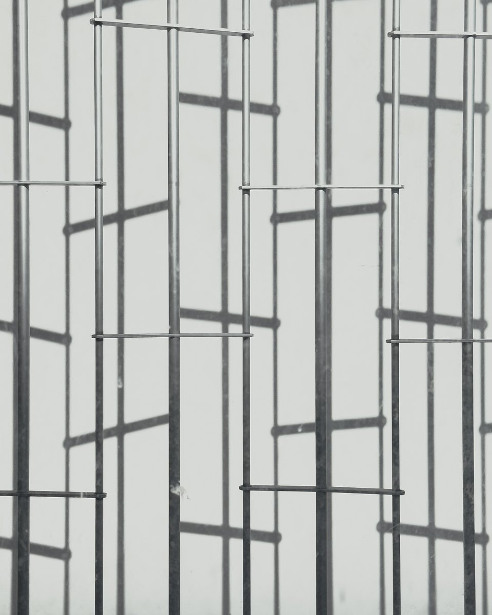 Adobe Lightroom tweet media