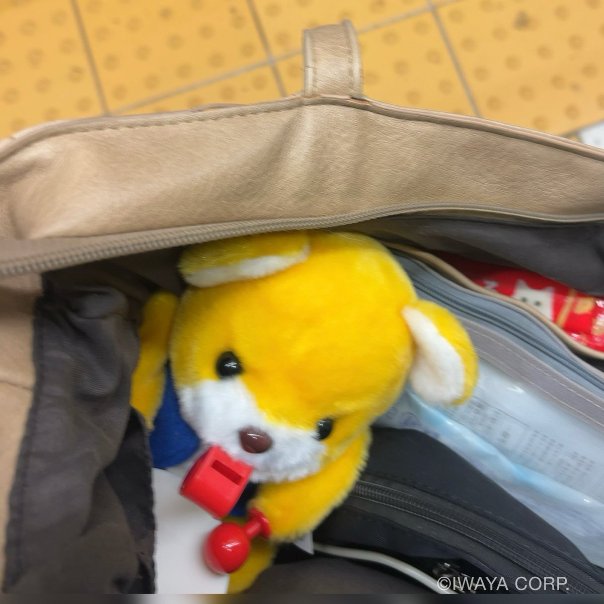 おはトンピーです！
これは すれちがうみなさんに
ファイトンピーをおくっている 
つうきんちゅうのぼくです🐻🚃

みなさん
きょうも1にち きをつけて
ファイトンピーですよー
#こぐまのトンピー より。