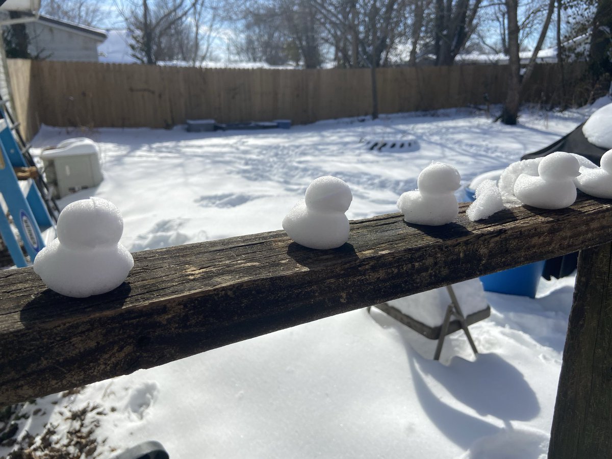 Grown ass man making snow ducks in his backyard