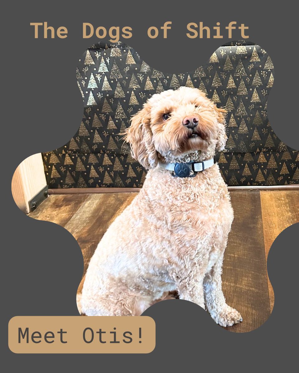 ShiftWorkspaces's tweet image. Chief Sniffspection Officer 🫡

Shift Workspaces is proud to be a dog friendly place to work in Denver. Have any questions? Shoot us an email at hello@shiftworkspaces.com.

Be sure to follow along for more dog content 🐶 😍

#dogfriendlyoffices #denvercoworking #officedogs