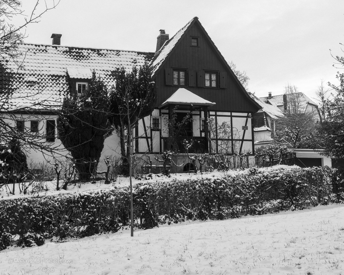 Dan 23 Freedom tweet media