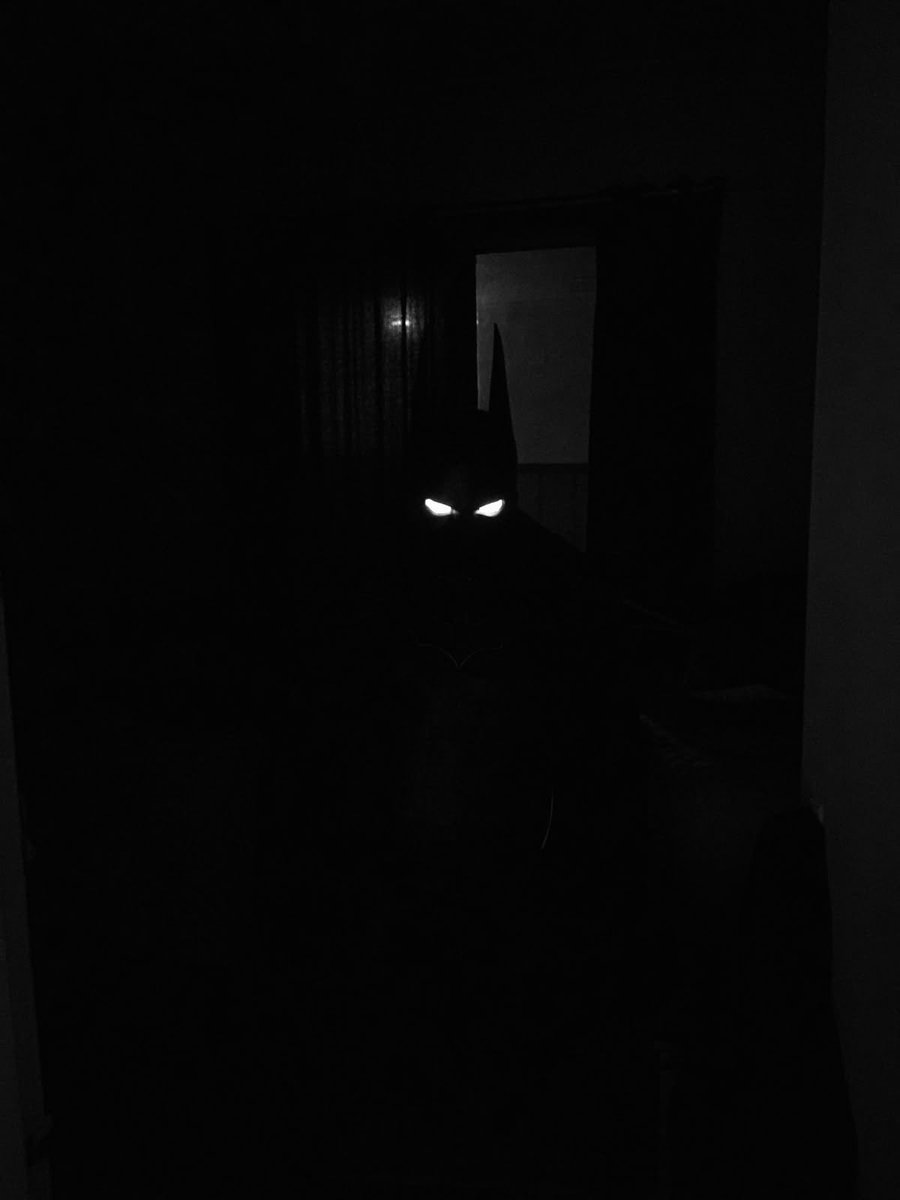 TheBatPics (@thebathome) on Twitter photo 