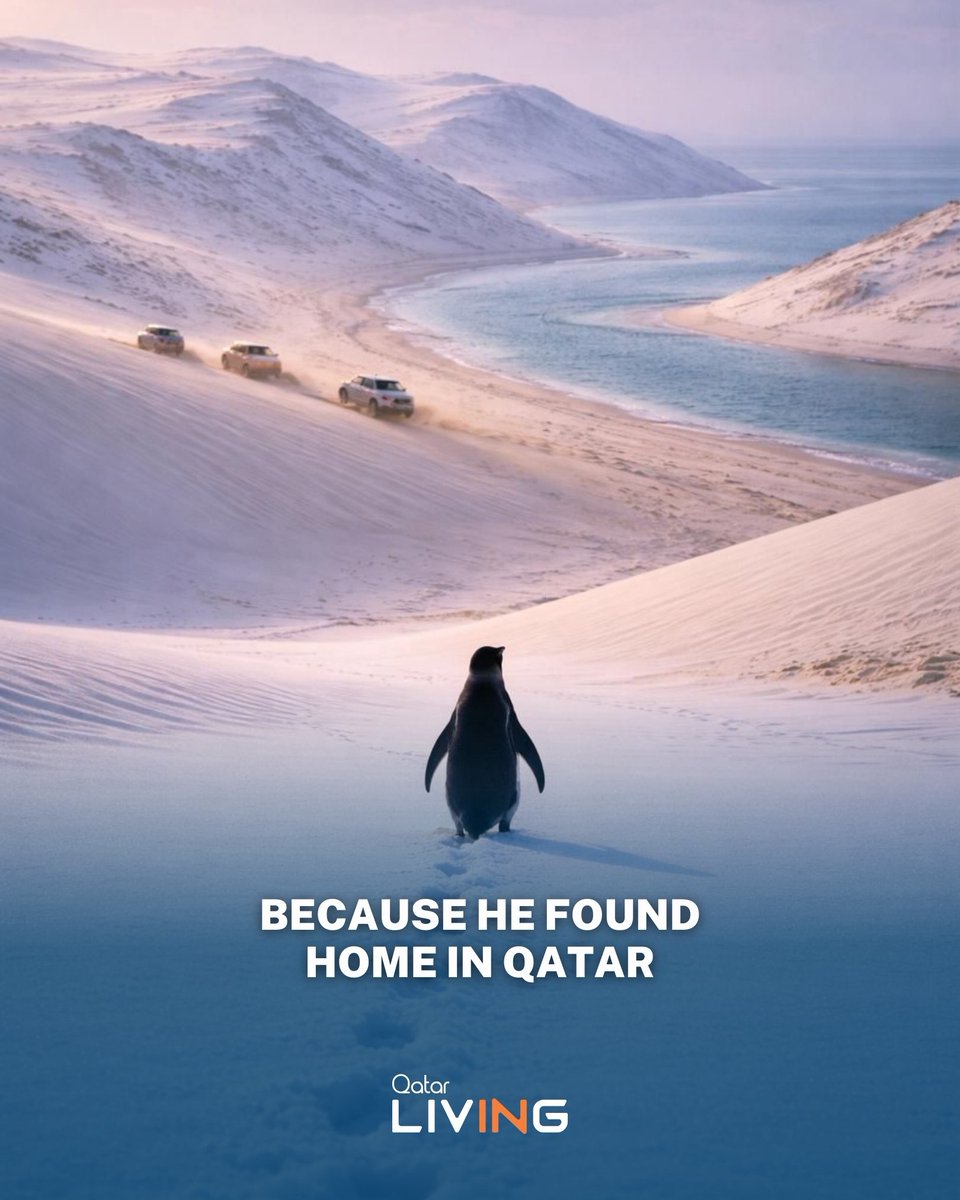 qatarliving's tweet photo. Penguin spotted! 🐧 Making its way to the full Sealine in Qatar🇶🇦
BE PENGUIN.
#penguin #viral #meme #sealine #embracethepenguin https://t.co/NczT2Nepdp